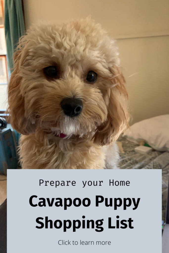 Pinterest Pins for Blog about Cavapoo Puppy Shopping List