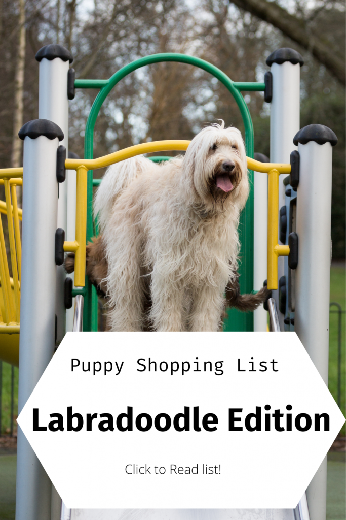 Pinterest Pin for Labradoodle Shopping List.