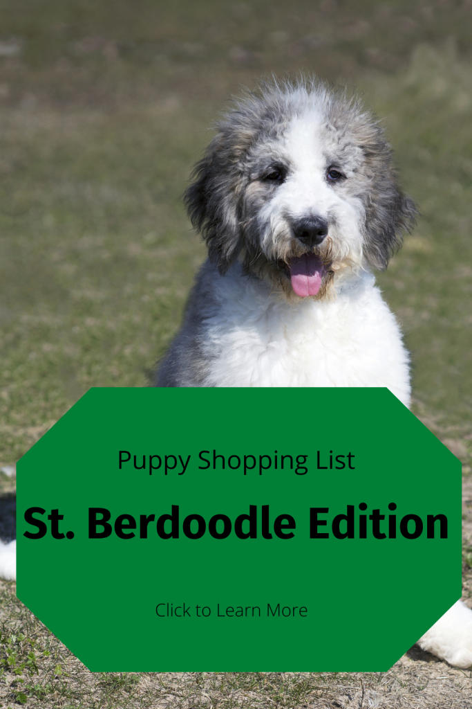 Puppy Shopping List- St. Berdoodle