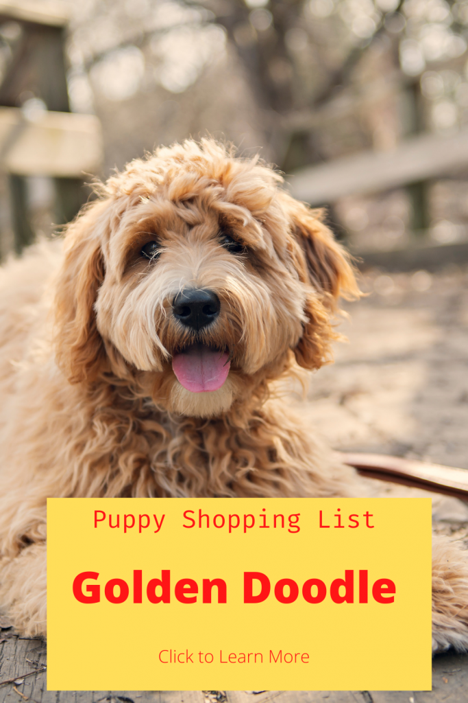 Pinterest Pin for GoldenDoodle Shopping List.