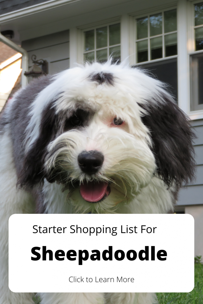 Pinterest Pin for Sheepadoodle Shopping Pinterest.