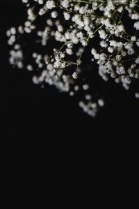 Baby Breath Flowers